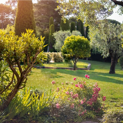 1st choice garden & treecare