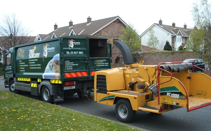Setanta Tree Care & Landscapes