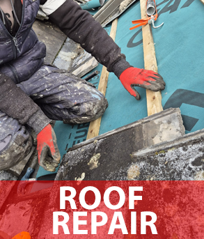 Roofer Roofing & Guttering Fairview