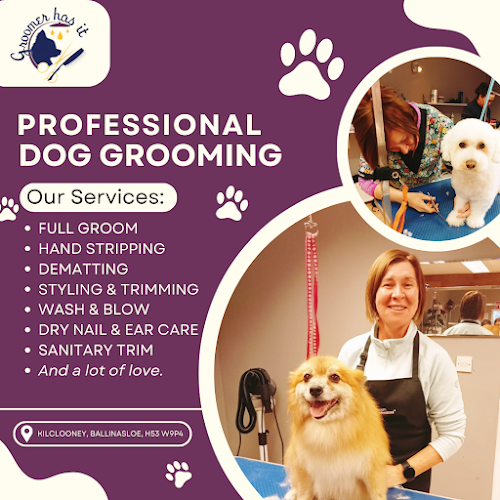 Groomer Has It - Diane Dolan