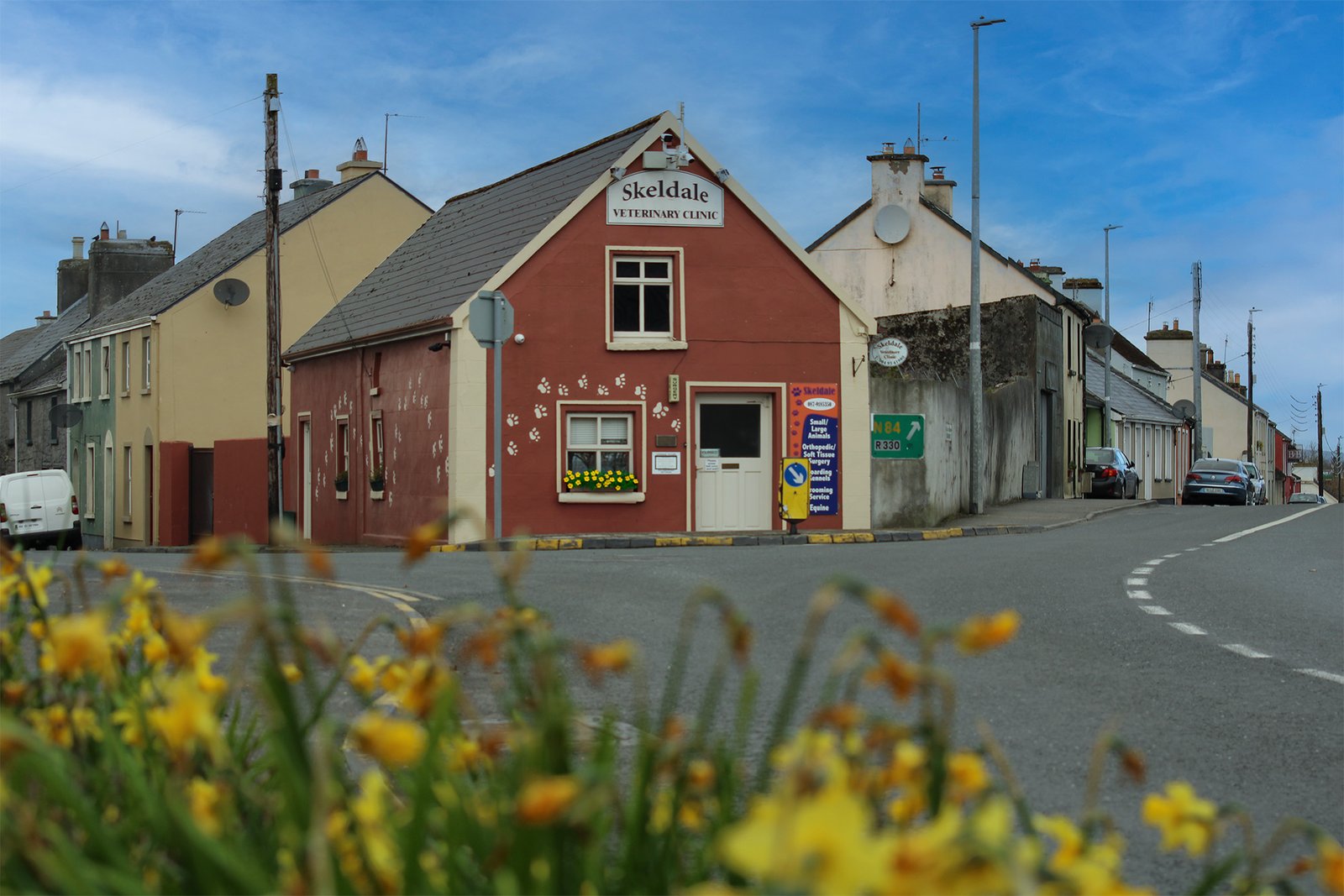 Skeldale Veterinary Clinic - Ballinrobe