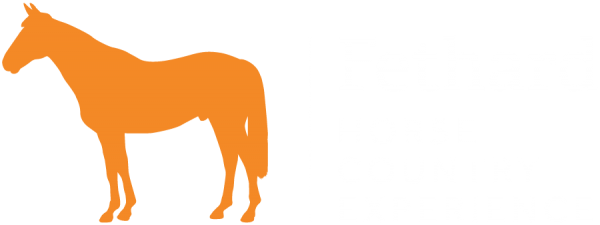 Fethard Horse Country Experience