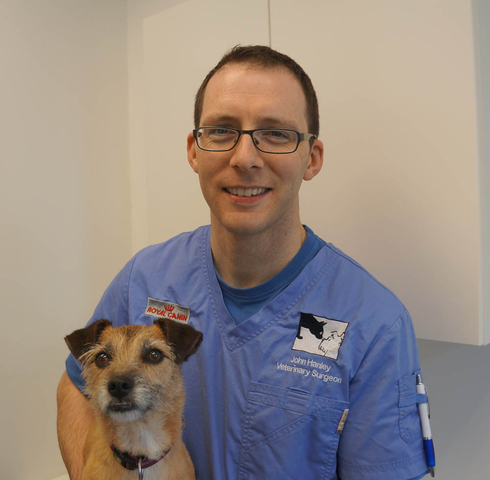 Sandymount Vets