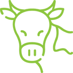 Hoof Care Direct Ltd & Inspect 4 Hoof Trimming Ltd