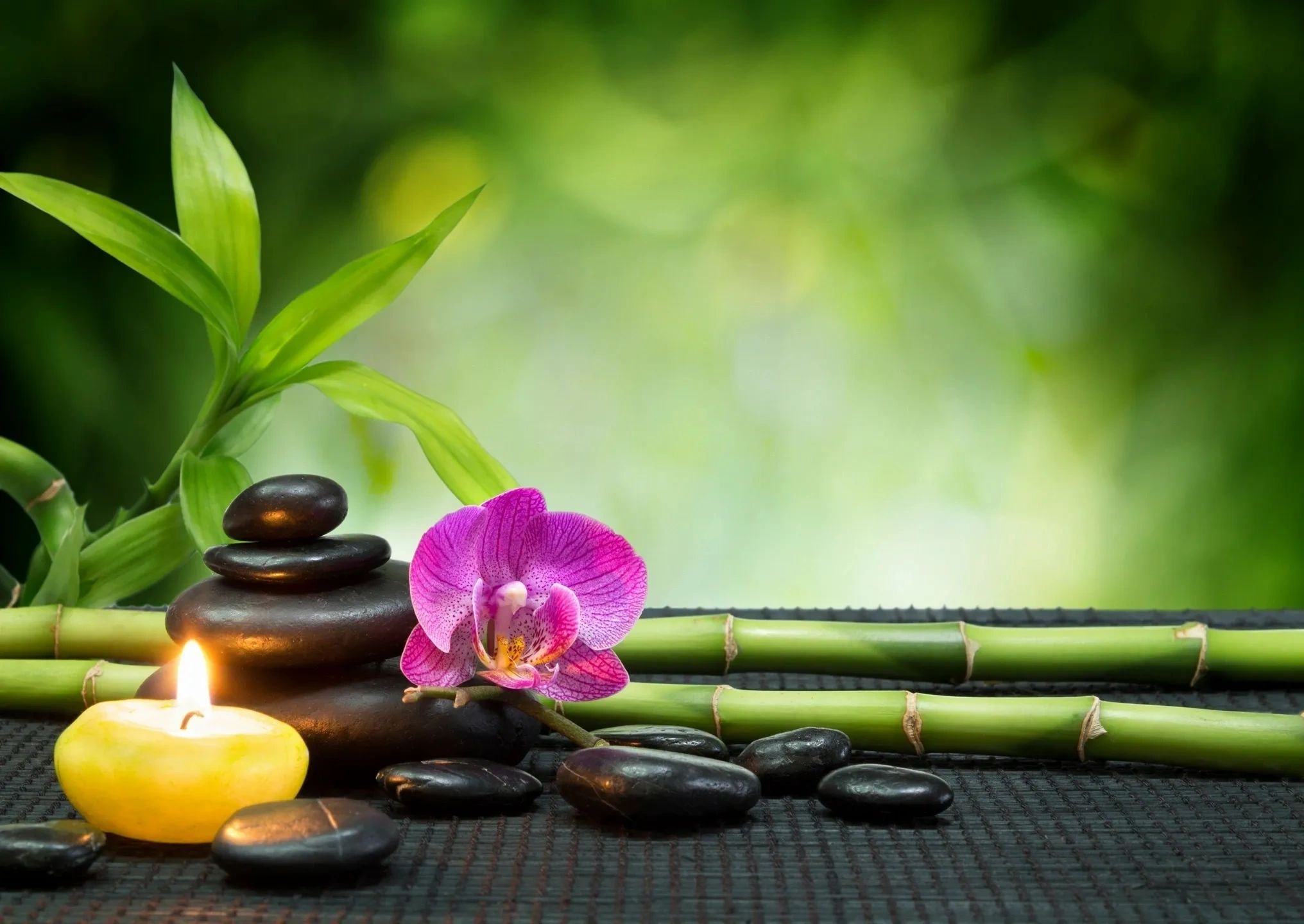 MAC Complementary Health Clinic | Holistic Therapies & Training
