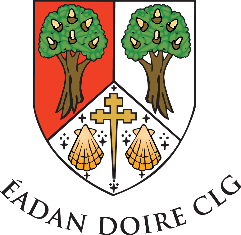 Edenderry GAA, Ladies Football & Camogie Club