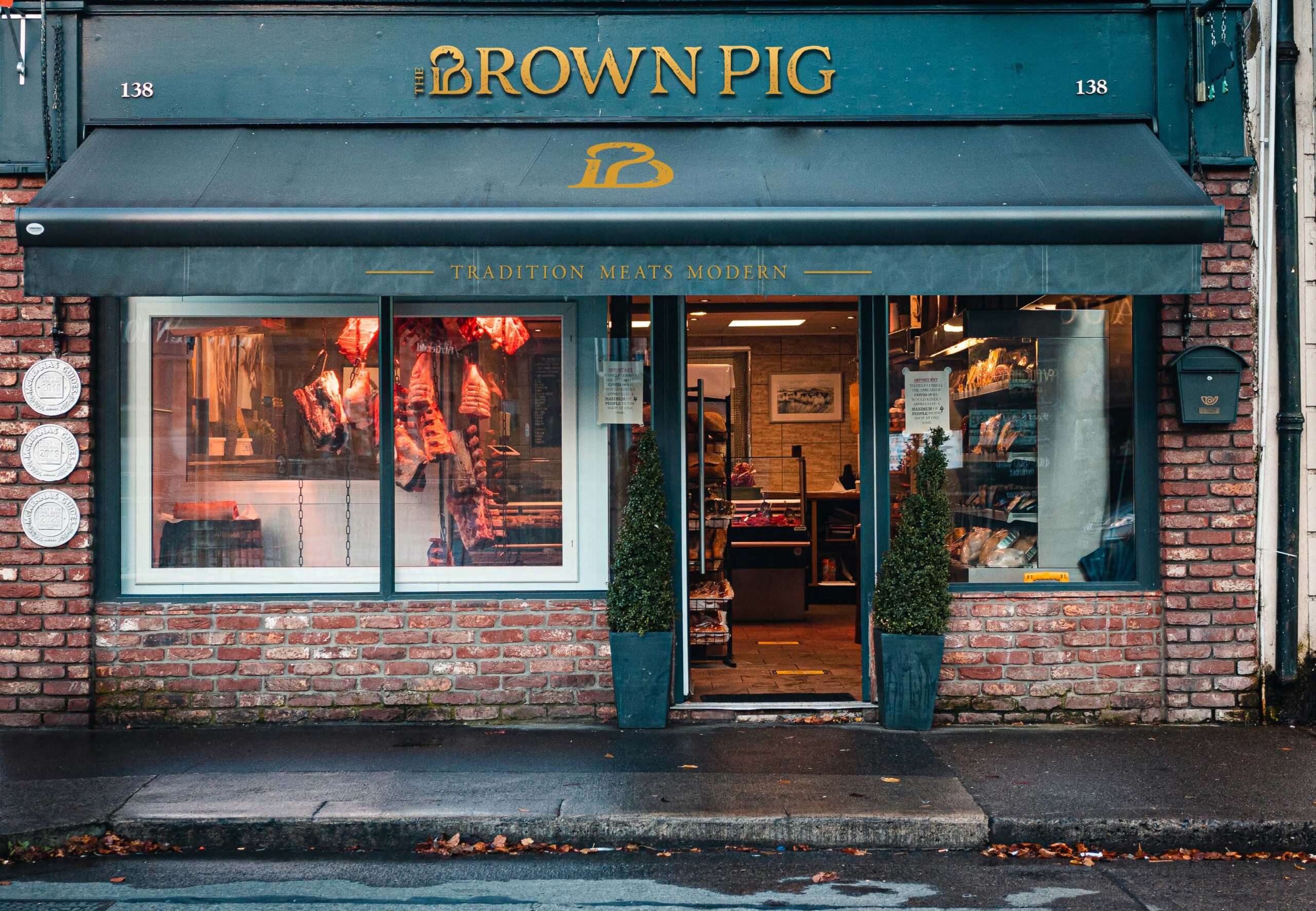 The Brown Pig