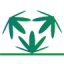 Dr. Hemp Me CBD Oil Ireland