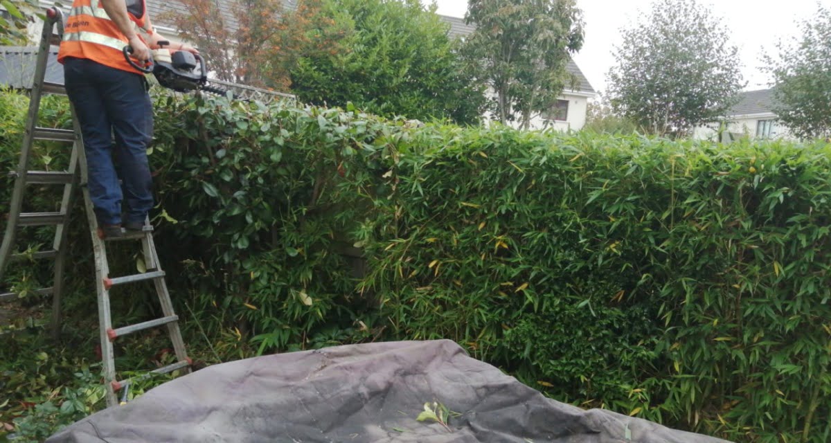 Greenways Gardening and Tree Services