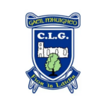Mayo Gaels Gaa