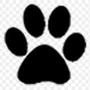 Ecopet | Natural Dog Food Ireland