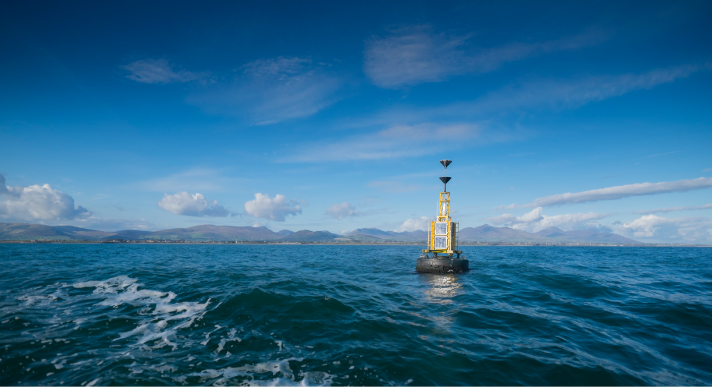 Carlingford Lough Sea Tours