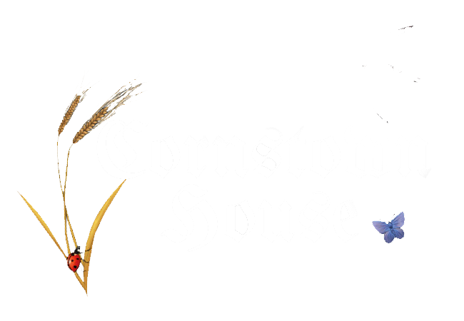 Cornstown House