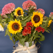 Crazy Daisy flowers