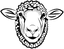 Black Sheep Events