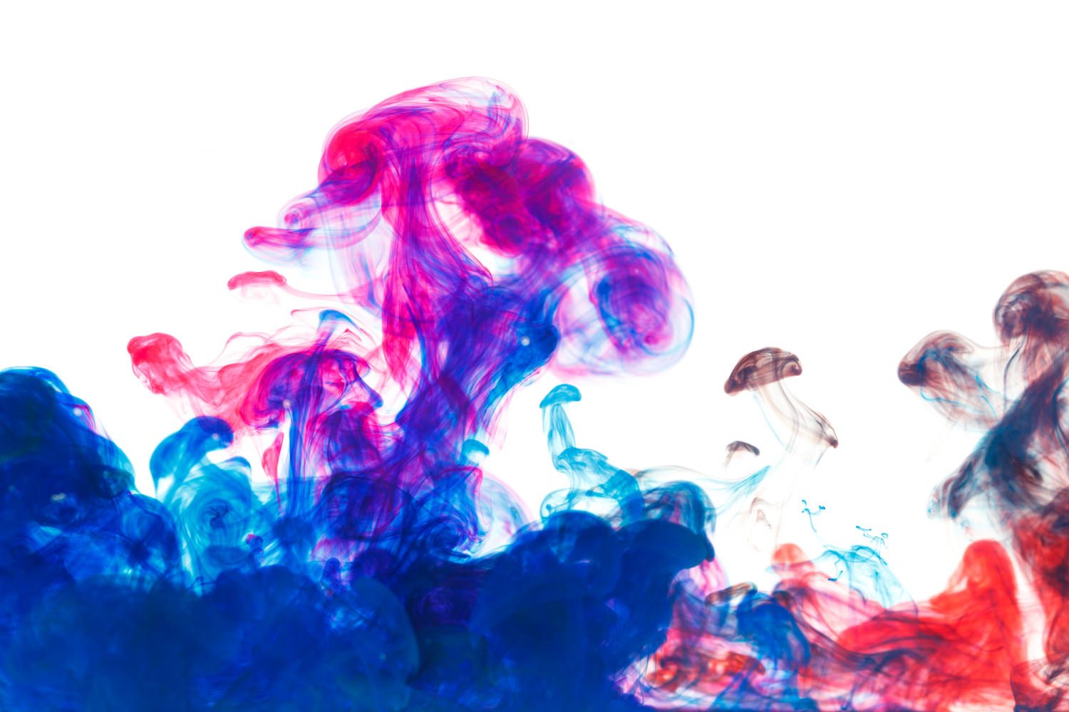 Inksplash Cre8tive Branding