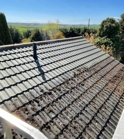 All Class Steam Cleaning & Gardening