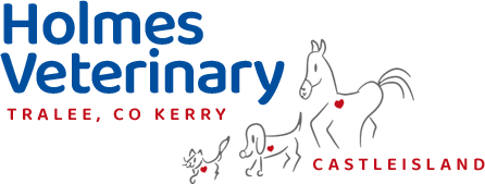 Holmes Veterinary Hospital 24/7
