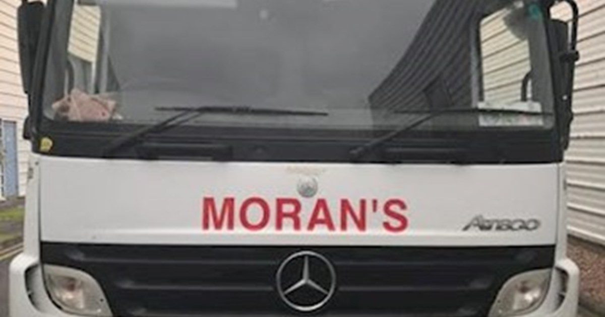 Morans dead animal collection