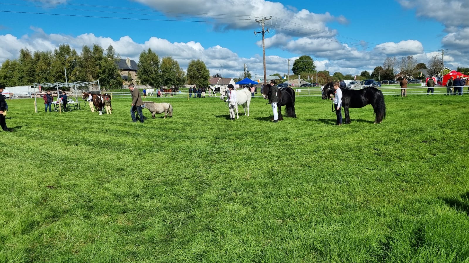 Roscommon Industrial & Agricultural Show Society