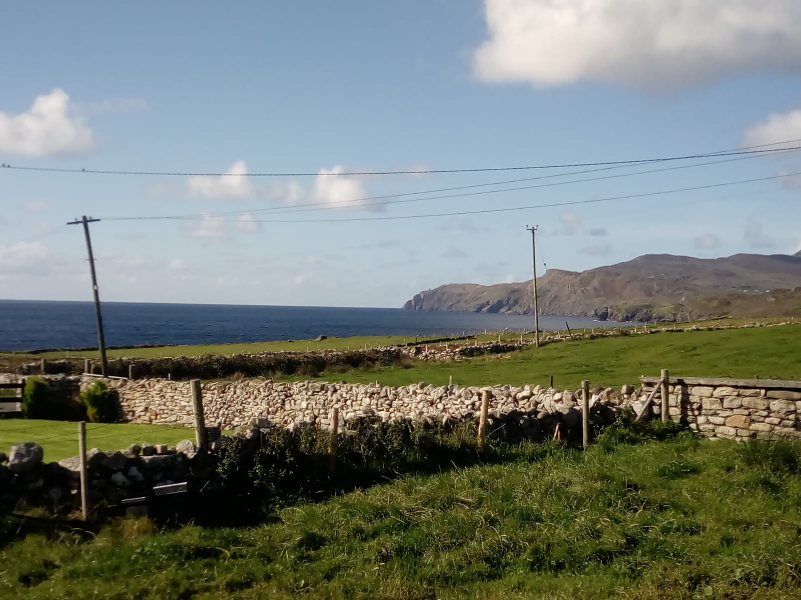 Williams & Walsh Agri Ltd Agricultural Consultants