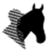 Enclosure Bar Thurles - Horse and Jockey