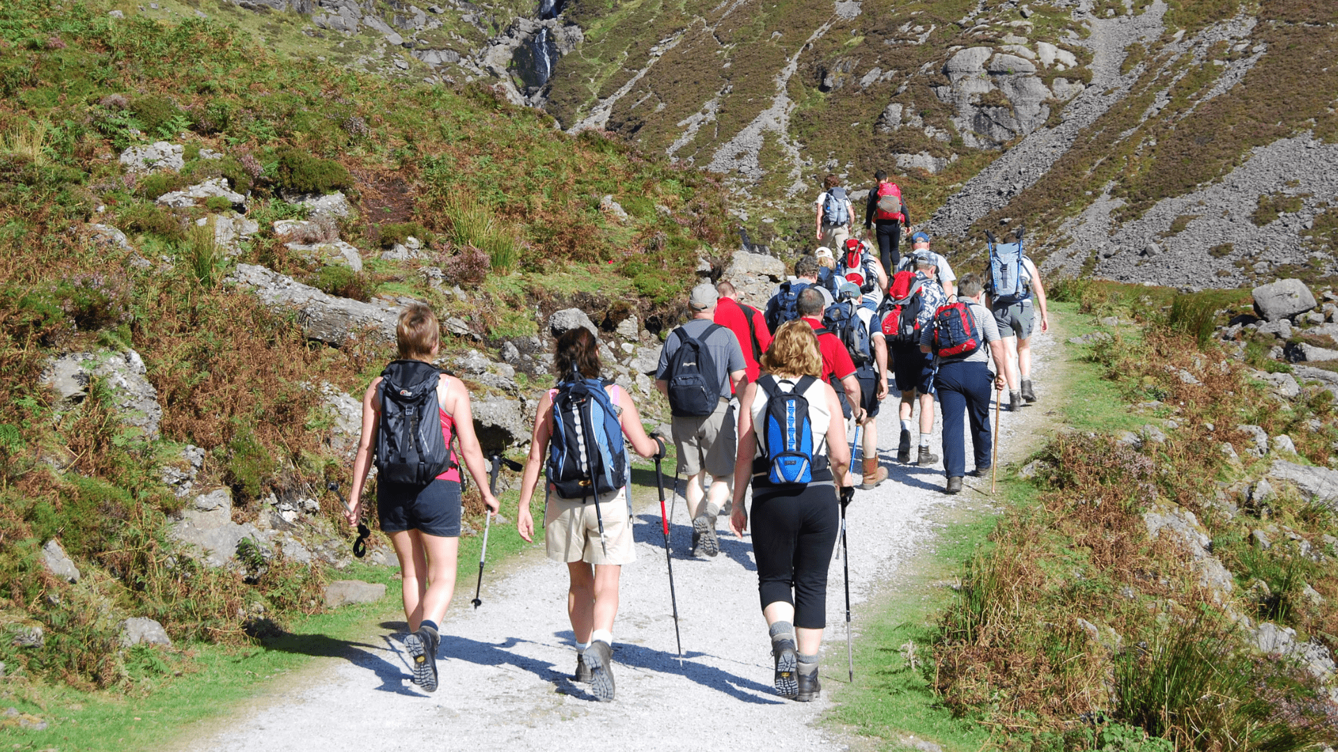 Greenway & Copper Coast Hostel