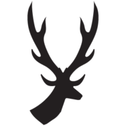StagParty
