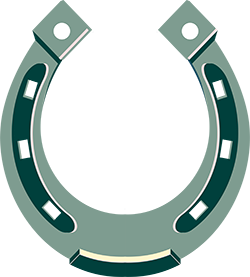 Biddy’s Good Luck Horse Shoes