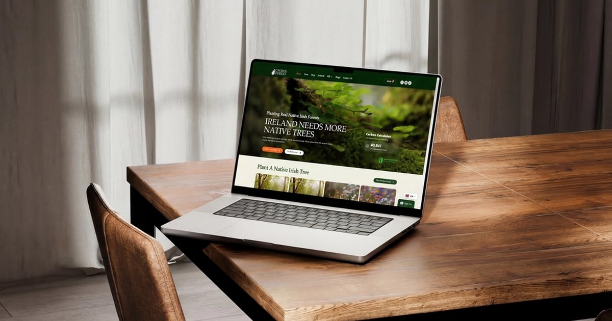 Johny.ie Web Design Agency