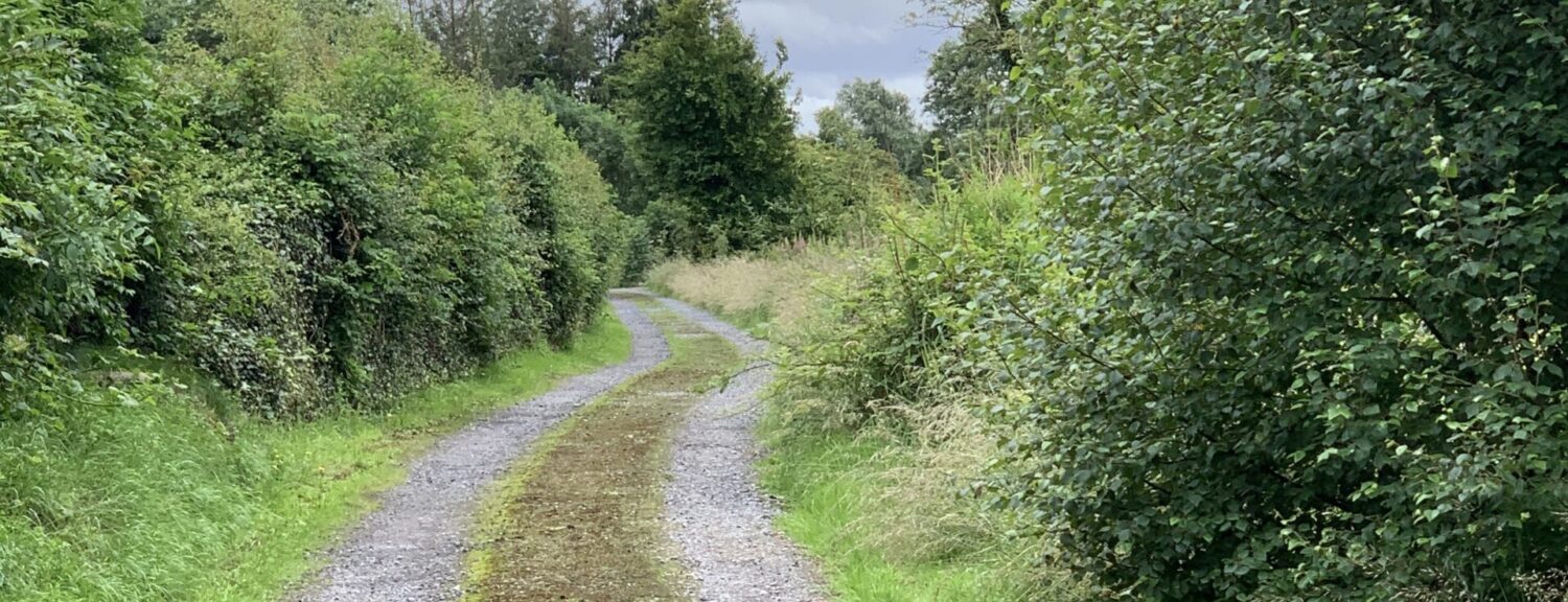 Pheasant Lane