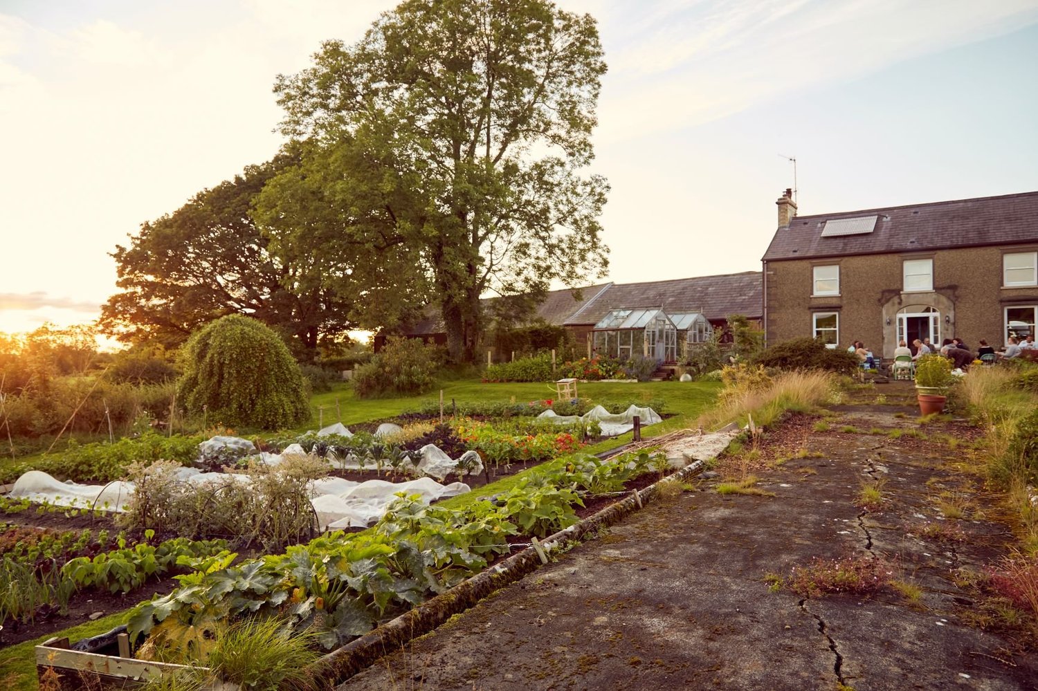Laurelbank Farm