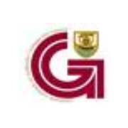 Galway City Council