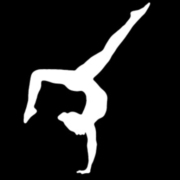 Aspire Gymnastics Academy