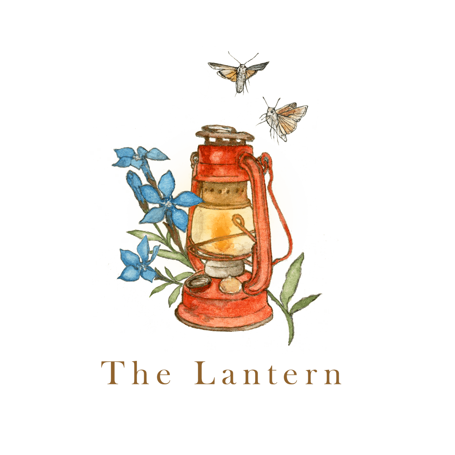 The Lantern