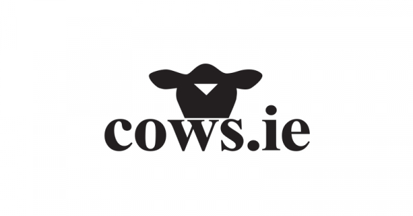 Cows