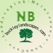 Noel Buckley