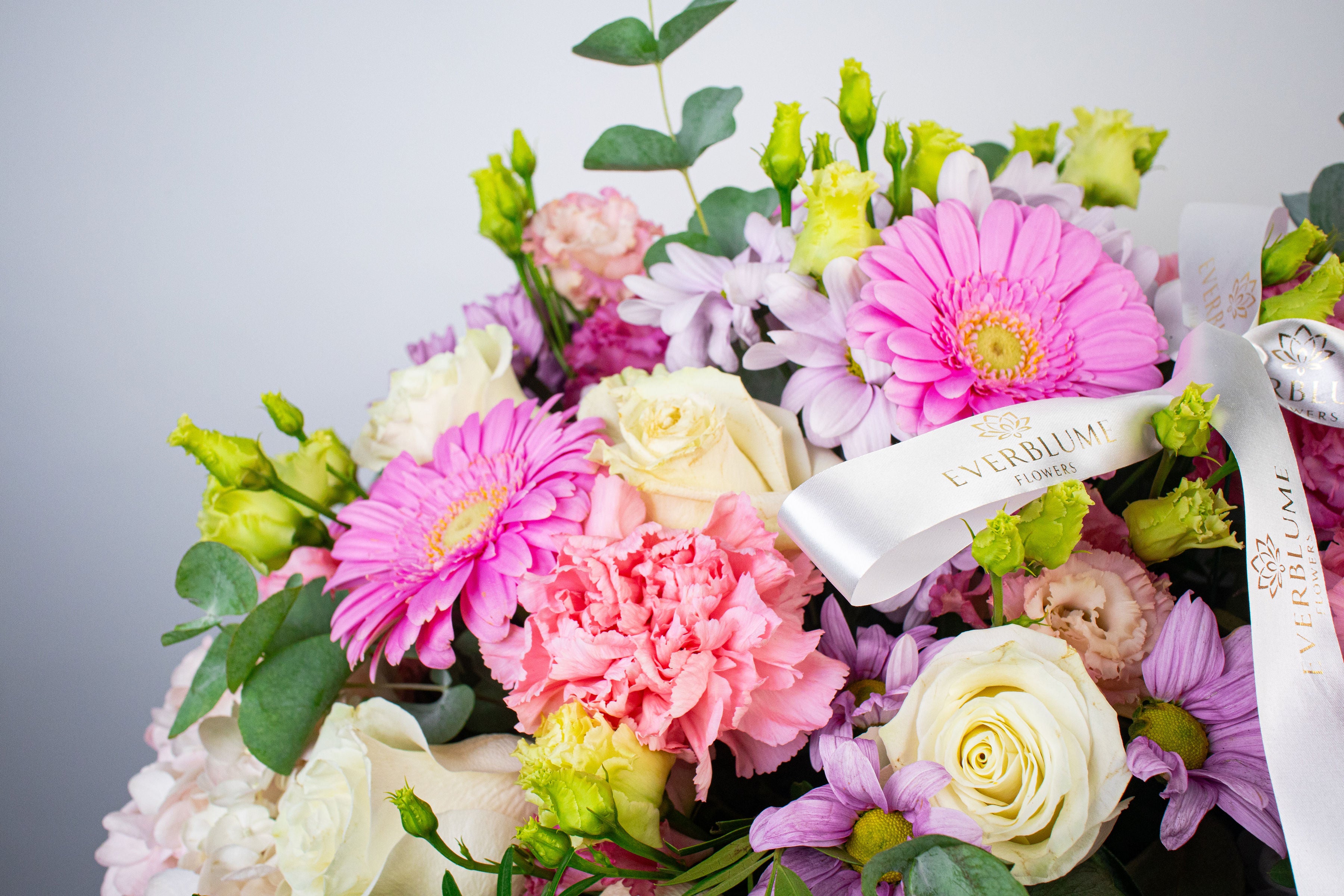 Everblume Flowers