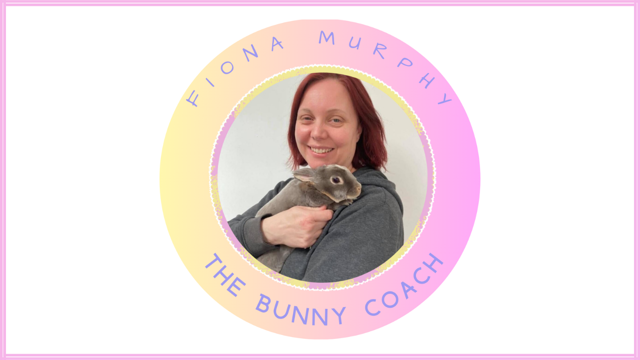 The Rabbit Rooms Small Animal Boarding, Pet Sitting and Bunny Bonding Service