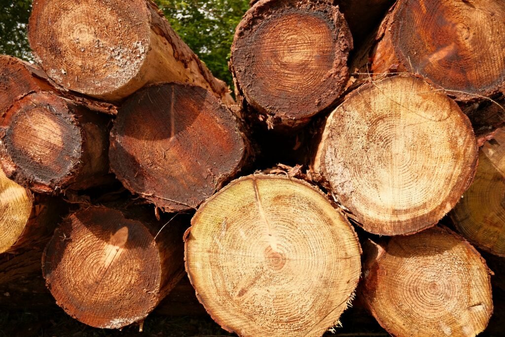 Connacht Tree Surgeons