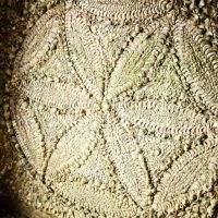 Parable Garden Education Company