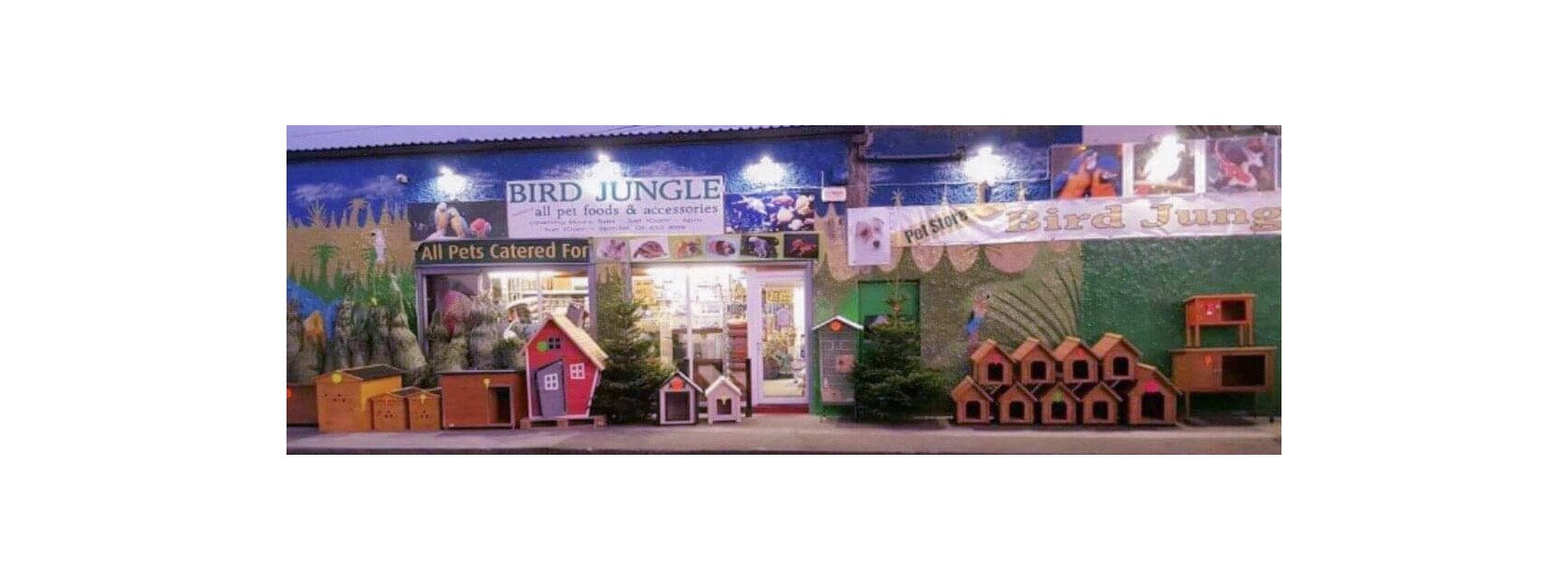 Bird Jungle