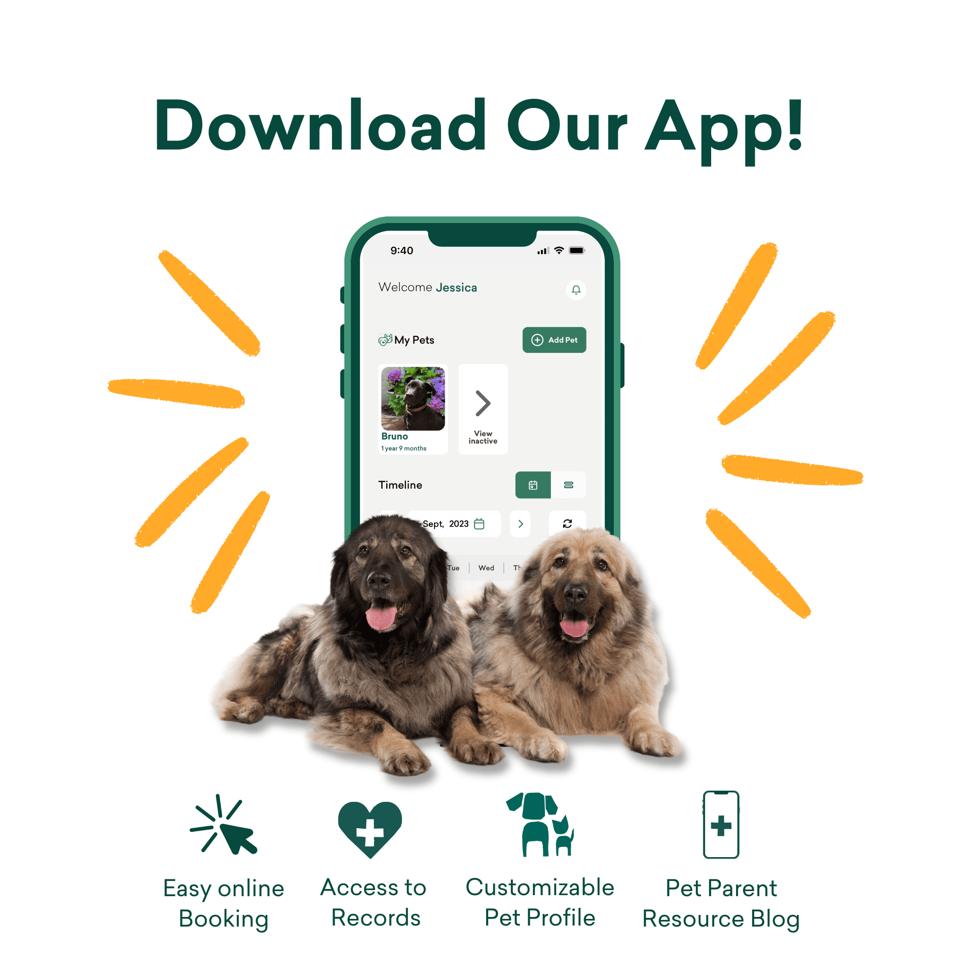 VetSit Doggy Daycare, Dog Grooming and Boarding