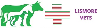Lismore Vets Centre