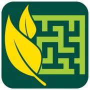 The Kildare Maze