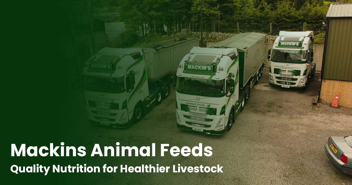 Mackin's Animal Feeds & Hardware Supplies