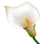 Ramon Massey and Son Tallaght Funeral Home