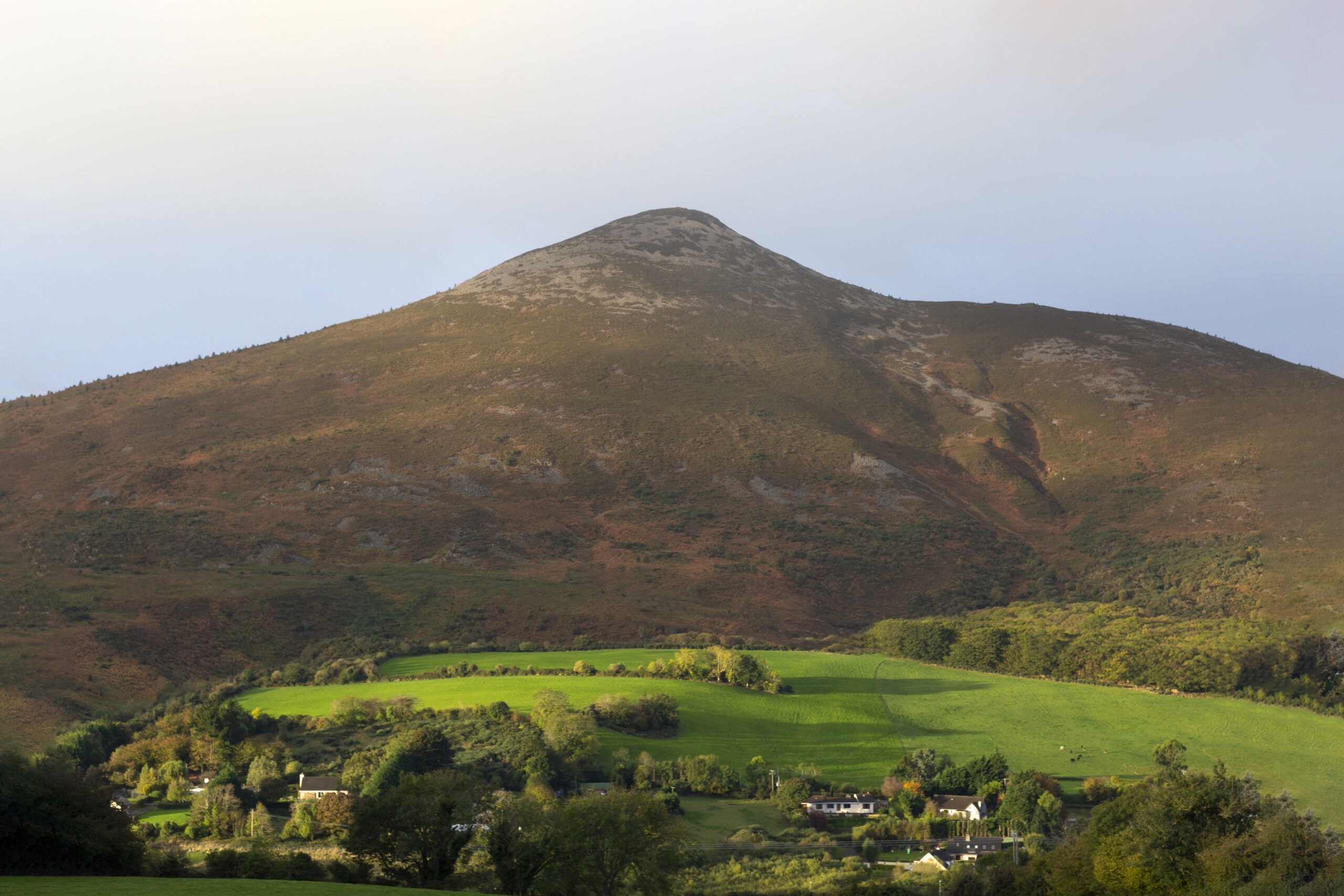 Wicklow Wolf Brewery & Taproom