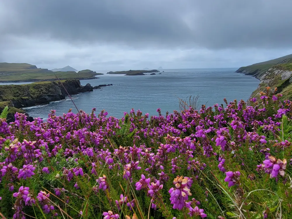 Kerry Experience Tours