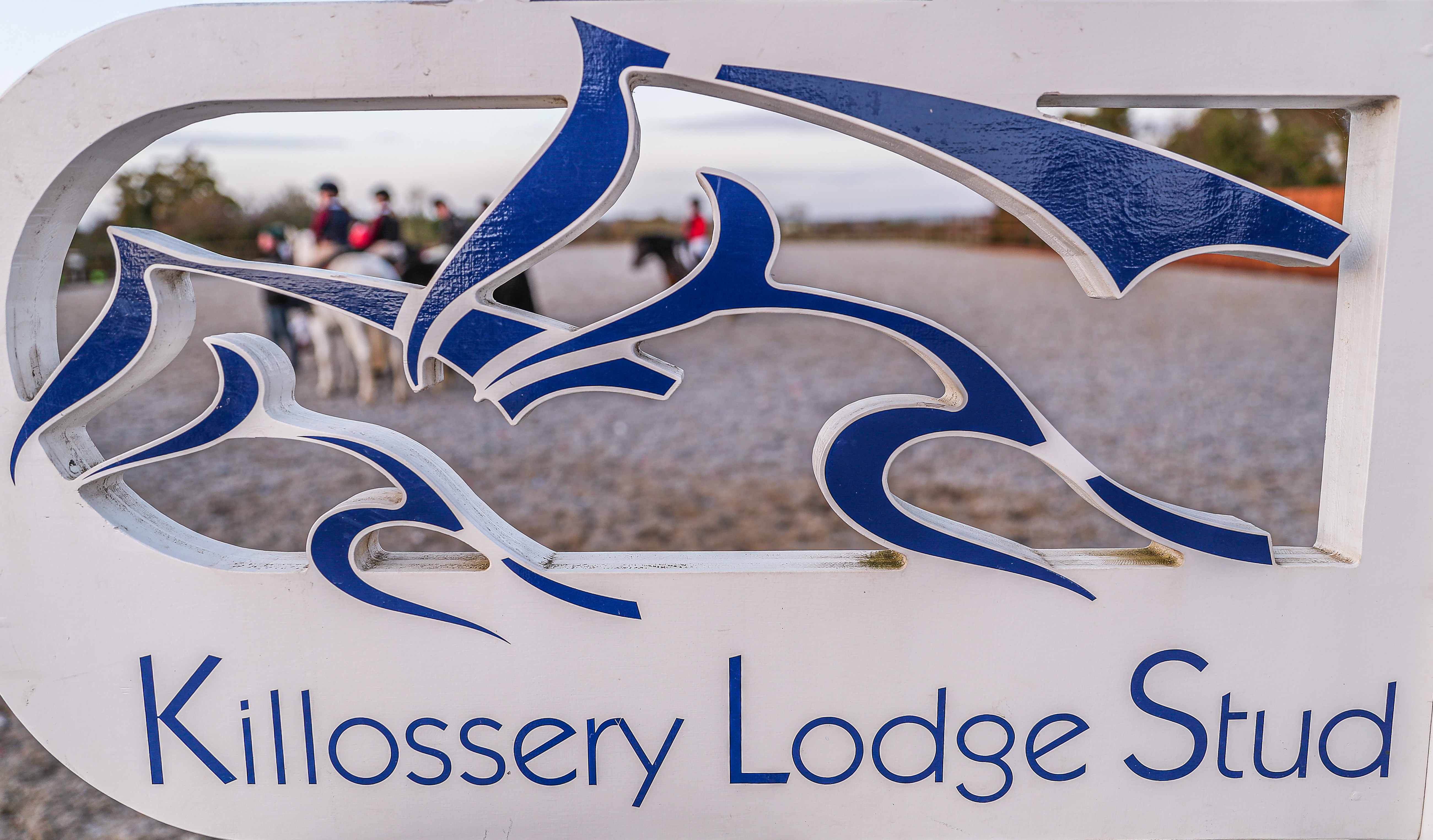 Killossery Lodge Stud